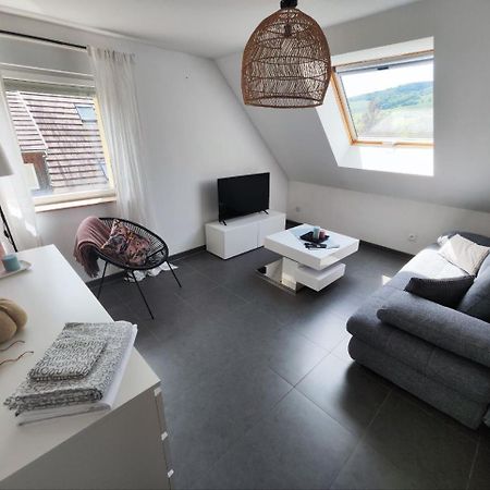 Bel Appartement En Centre Alsace Kintzheim Esterno foto