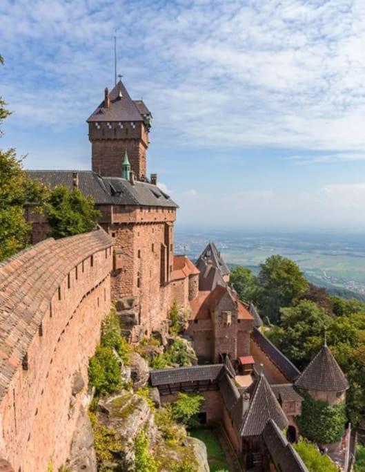 Bel Appartement En Centre Alsace Kintzheim Esterno foto